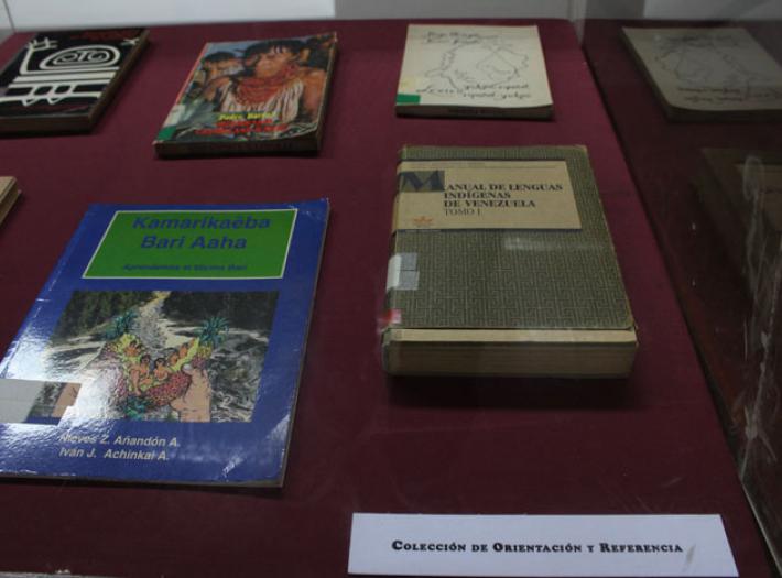exposicion-_coleccion_gerenal_bnv_003
