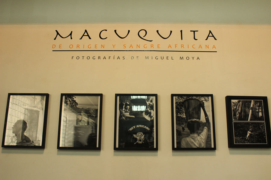 Macuevita6