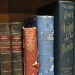 Don Quijote: entre la pasión y la locura: letras e imágenes universales