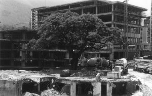 Construcción Foro Libertador. Caracas 1982. Col. Terry Carquez