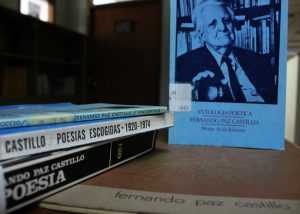 Fernando Paz Castillo