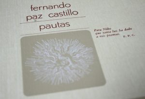 Fernando Paz Castillo1