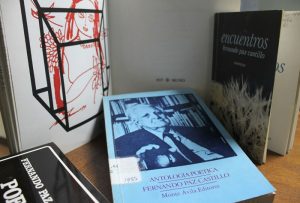 Fernando Paz Castillo3