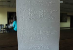 Jornada de Lectura en Braille7