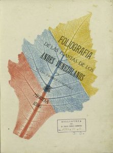 WhatsApp Image 2022-01-31 at 11.37.46 AM